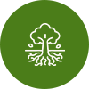Roots Grow Deep